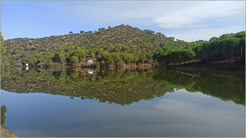 Reflejos del río Alberche 