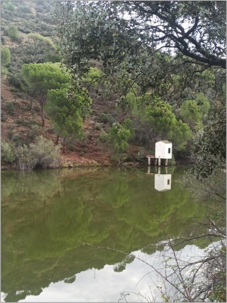 Reflejo del río Alberche