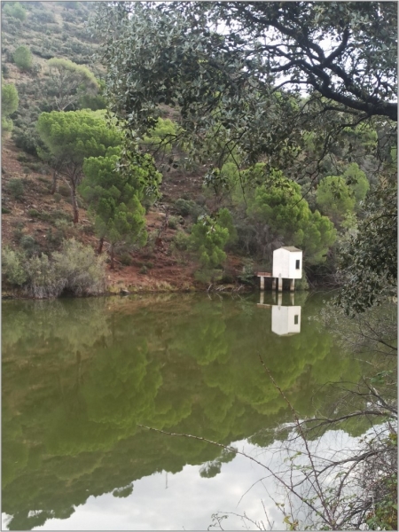 Reflejo del río Alberche