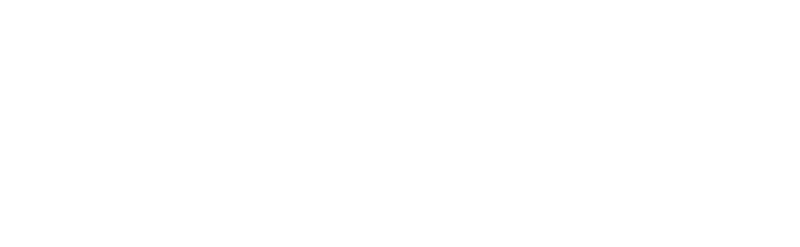 boeringher